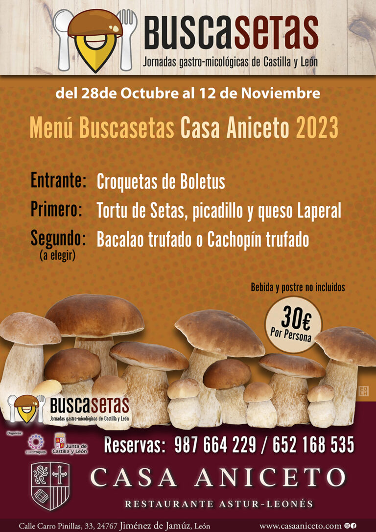 casaaniceto-buscasetas-A3-p-2023